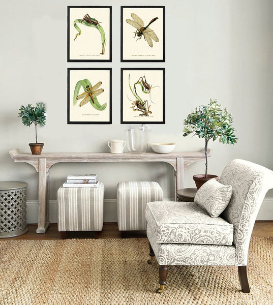 Vintage Insect Dragonfly Wall Art Set of 4 Prints Beautiful Antique Lake Forest Outdoor Garden Nature Home Decor Decoration to Frame LINS