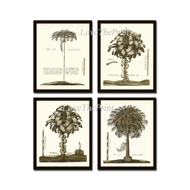 Vintage Palm Tree Print Tropical Botanical Wall Art Set of 4 Beautiful Antique Beach Home Room Decor Dining Room Bedroom to Frame GTHO