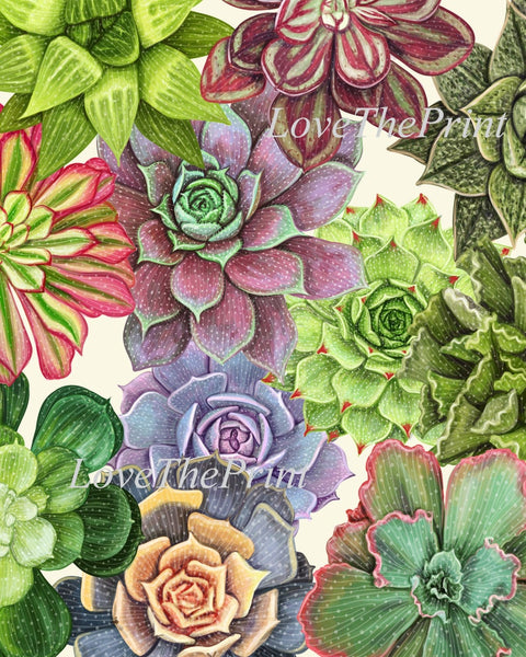 Succulent Plant Prints Wall Art Home Decor Set of 4 Beautiful Colorful Blue Green Pink Purple Tropical Picture Home Decor to Frame SUCC