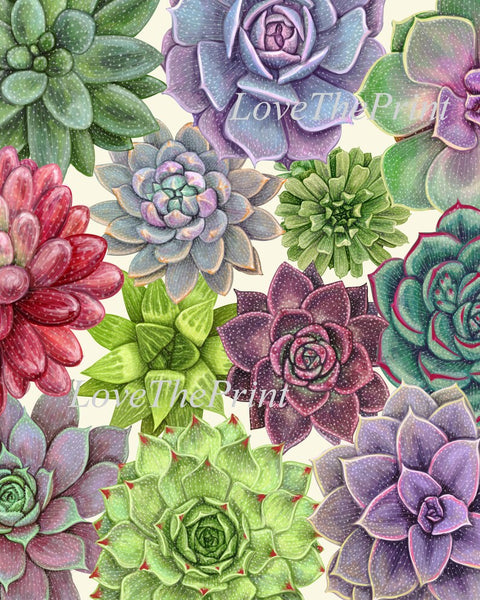 Succulent Plant Prints Wall Art Home Decor Set of 4 Beautiful Colorful Blue Green Pink Purple Tropical Picture Home Decor to Frame SUCC