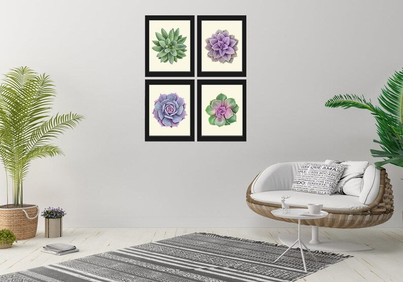 succulent wall art set Succulent Plant Prints Wall Art Home Decor Set of 4 Beautiful Green Vi – Love the Print