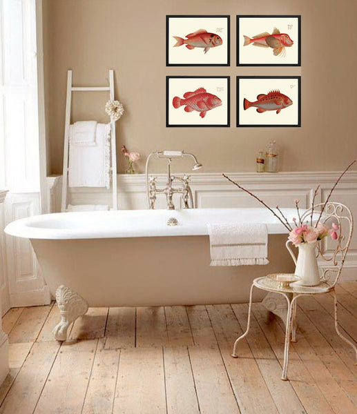Red Fish Wall Art Set of 4 Prints Beautiful Antique Vintage Sea Ocean Beach House Bathroom Bedroom Coastal Marine Home Decor to Frame BL