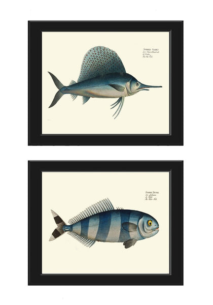 Swordfish Wall Art Set of 2 Prints Beautiful Antique Vintage Blue Sea Ocean Beach House Marine Coastal Fishing Home Room Decor to Frame BL