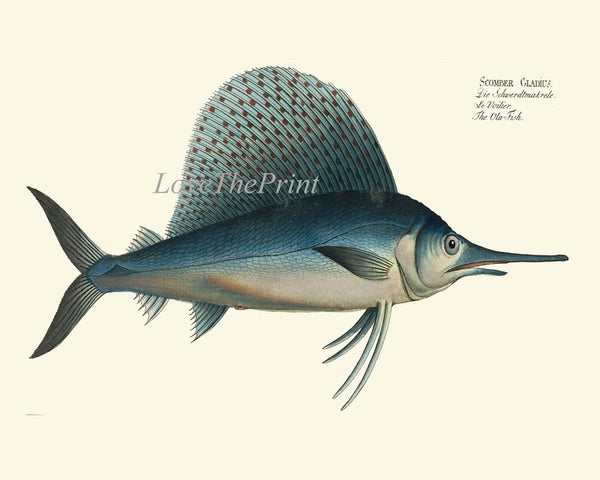 Swordfish Wall Art Set of 2 Prints Beautiful Antique Vintage Blue Sea Ocean Beach House Marine Coastal Fishing Home Room Decor to Frame BL