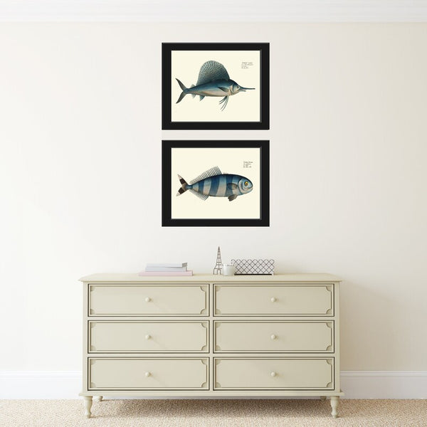 Swordfish Wall Art Set of 2 Prints Beautiful Antique Vintage Blue Sea Ocean Beach House Marine Coastal Fishing Home Room Decor to Frame BL