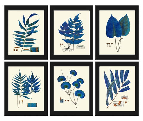 Vintage Blue Fern Print Wall Art Set of 6 Antique Bedroom Dining Room Office Bathroom Living Room Navy blue Interior Home Decor to Frame HWB