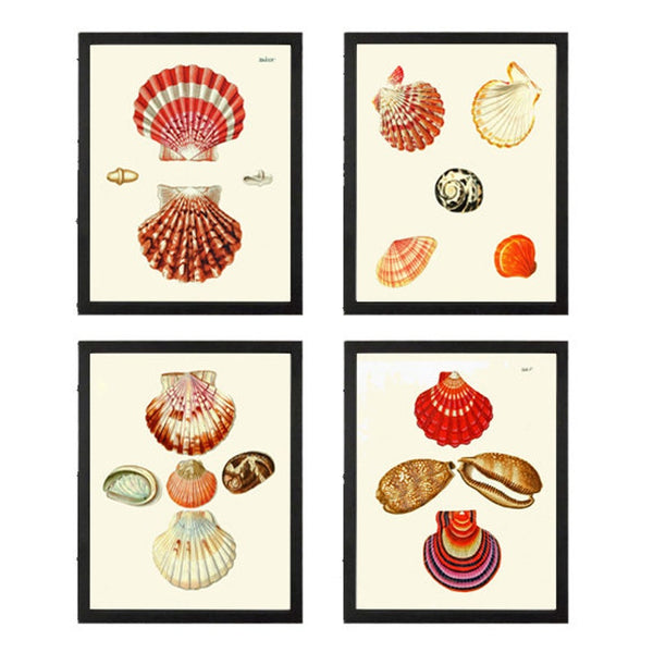 Vintage Red Seashells Prints Wall Art Set of 4 Prints Beautiful Antique Sea Shell Ocean Beach Bathroom Office Bedroom Home Decor to Frame KG