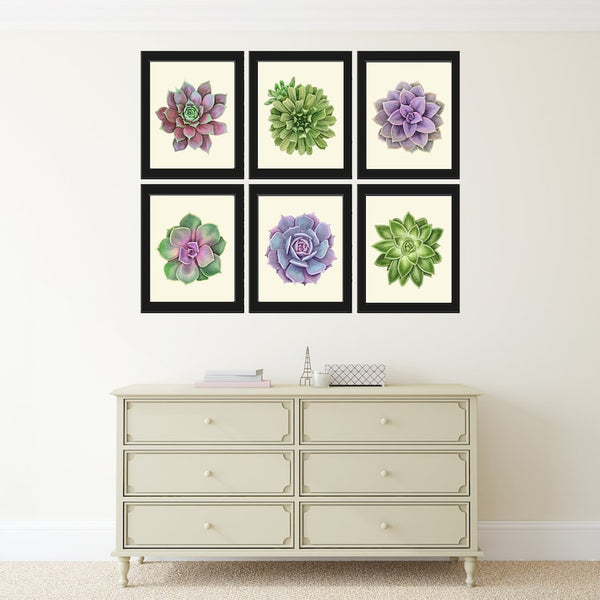 Succulents Plants Prints Wall Art Home Decor Set of 6 Beautiful Colorful Green Violet Purple Tropical Watercolor Home Decor to Frame SUCC