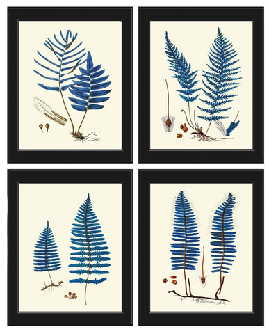 Vintage Blue Fern Prints Wall Art Set of 4 Beautiful Antique Forest Nature Illustration Watercolor Interior Design Home Decor to Frame HWB