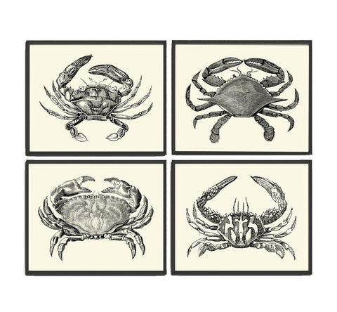 Vintage Crab Prints Wall Art Set of 4 Beautiful Black and White Crabs Sea Ocean Nautical Marine Nature Science Beach Home Decor to Frame SM