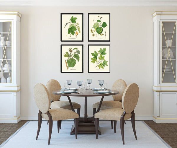 Vintage Tree Leaf Branch Prints Wall Art Set of 4 Beautiful Botanical Poster Chart Gift Present Garden Nature Home Rooom Decor to Frame HT