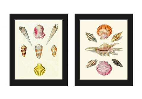 Vintage Seashells Shells Prints Wall Art Set of 2 Pink Yellow Brown Sea Ocean Beach Marine Coastal Bathroom Bedroom Home Decor to Frame KG