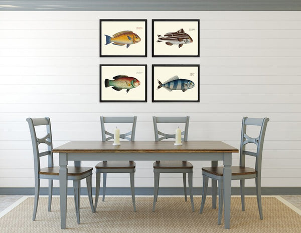 Tropical Ocean Fish Wall Art Set of 4 Prints Beautiful Antique Vintage Colorful Reef Nature Beach Coastal Marine Home Decor to Frame BL