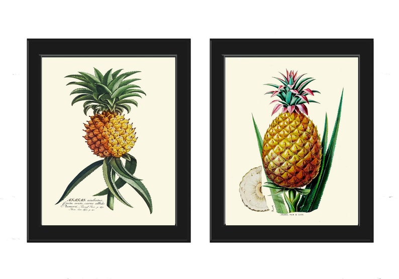 Pineapple Home Decor Wall Art Print Set of 2 Beautiful Vintage Fruit Kitchen Cooking Gift Dining Room Home Decor Illustration to Frame PINA