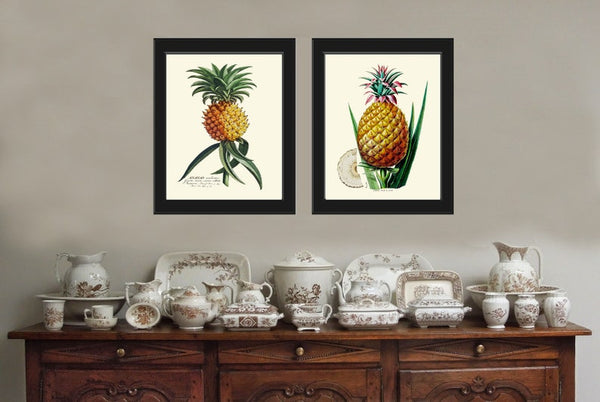 Pineapple Home Decor Wall Art Print Set of 2 Beautiful Vintage Fruit Kitchen Cooking Gift Dining Room Home Decor Illustration to Frame PINA