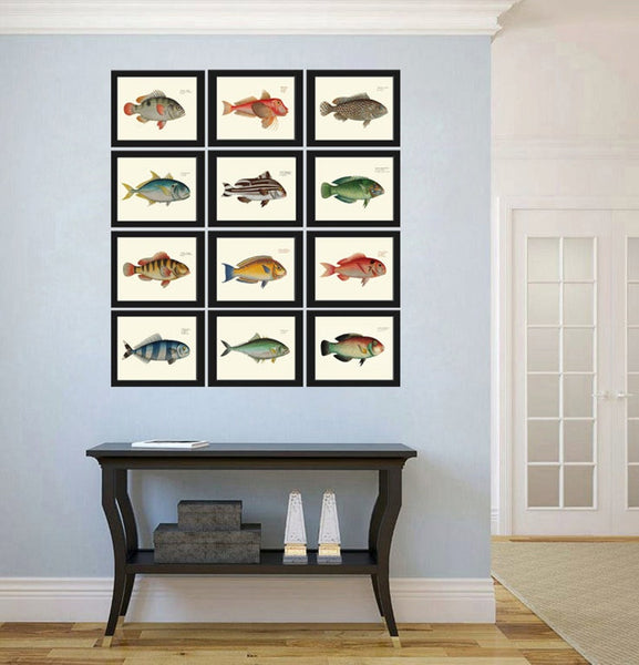 Fish Print Set of 12 Beautiful Wall Art Colorful Coral Reef Nature Science Beach Ocean Tropical Island Coastal Home Room Decor to Frame BL