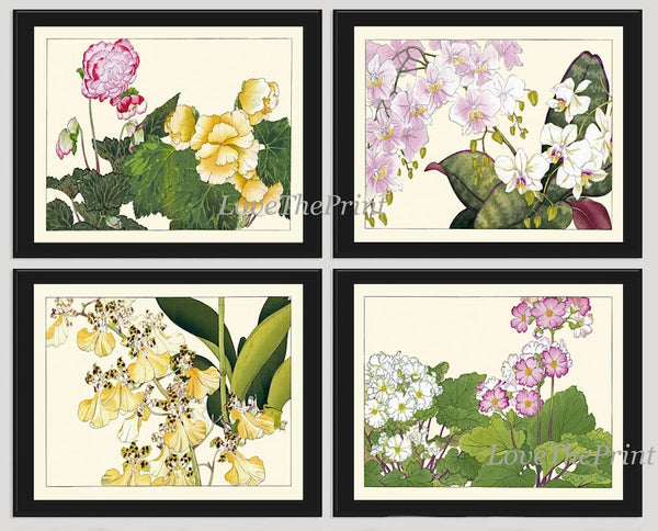 Begonia Orchid Wall Art Print Set of 4 Beautiful Horizontal Orientation White Pink Botanical Dining Room Bedroom Home Decor to Frame ZUFU
