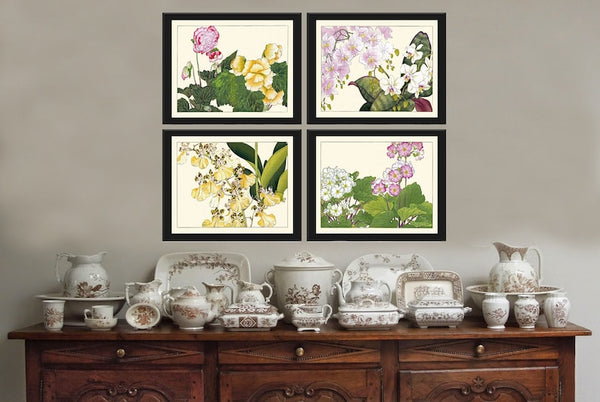 Begonia Orchid Wall Art Print Set of 4 Beautiful Horizontal Orientation White Pink Botanical Dining Room Bedroom Home Decor to Frame ZUFU
