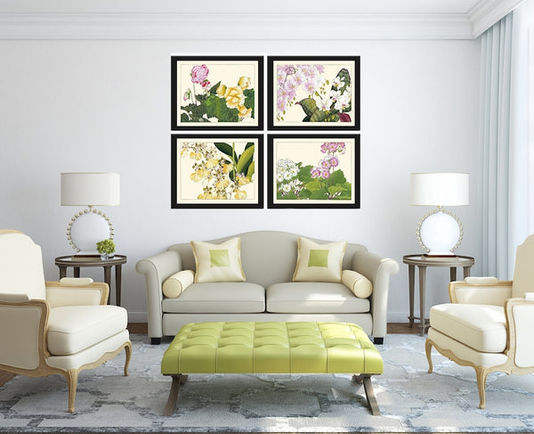 Begonia Orchid Wall Art Print Set of 4 Beautiful Horizontal Orientation White Pink Botanical Dining Room Bedroom Home Decor to Frame ZUFU