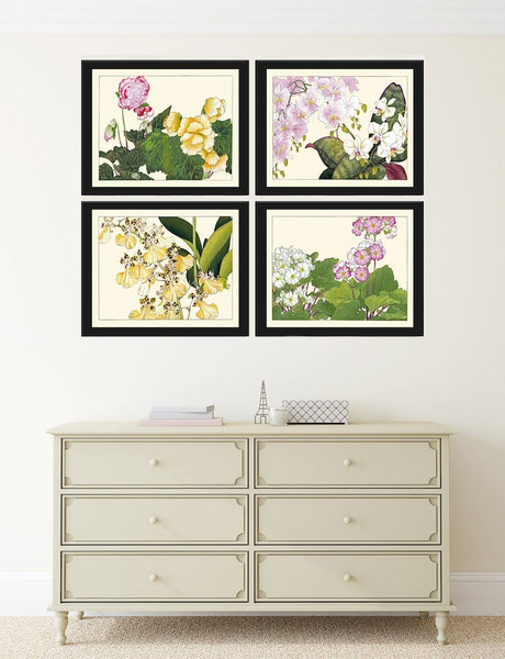Begonia Orchid Wall Art Print Set of 4 Beautiful Horizontal Orientation White Pink Botanical Dining Room Bedroom Home Decor to Frame ZUFU