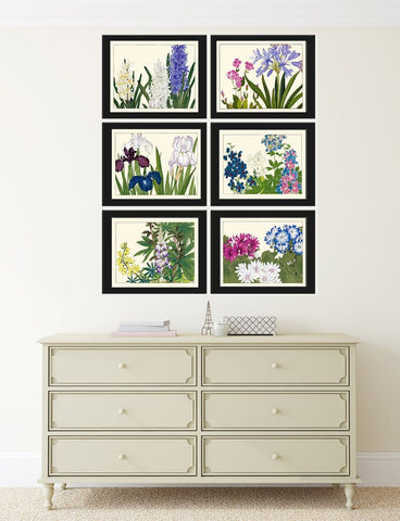 Japanese Flower Prints Botanical Wall Art Set of 6 Blue White Pink Iris Agapanthus Hyacinth Daisy Spring Flowers Home Decor to Frame ZUFU