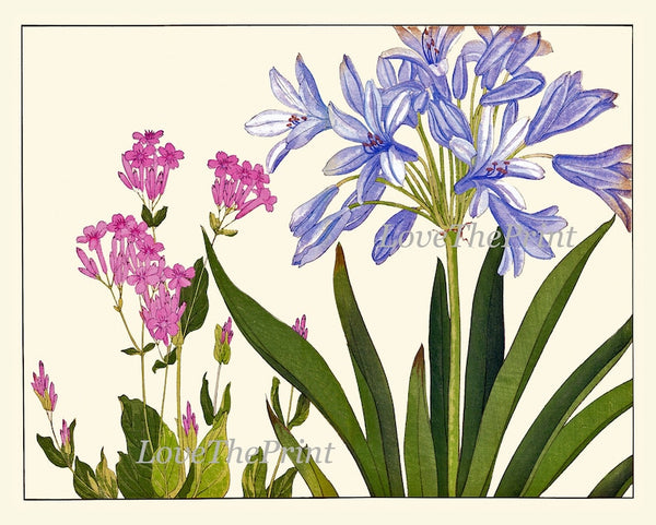 Gallery Wall Art Botanical Vintage Wildflowers Prints Set of 12 Blue White Pink Iris Agapanthus Hyacinth Spring Home Decor to Frame ZUFU