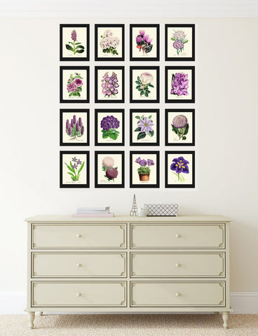 Interior Designer Wall Art Botanical Prints Set of 16 Beautiful Antique Vintage Violet White Purple Flowers Floral Home Decor to Frame TFM