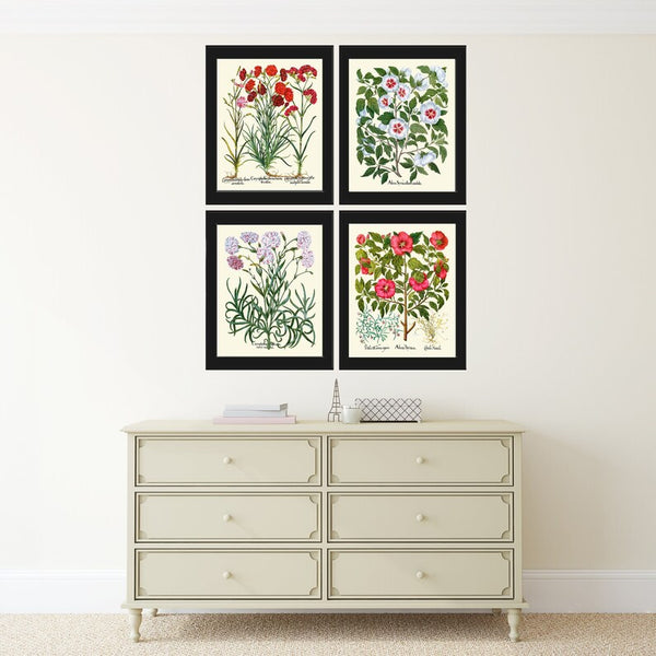 Botanical Prints Wall Art Carnations Rose Hollyhock Set of 4 Beautiful Antique Vintage White Pink Red Flowers Home Room Decor to Frame BESL