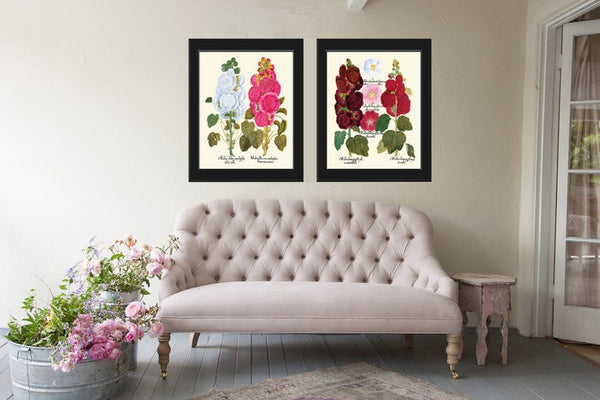 Hollyhock Flower Botanical Prints Wall Art Set of 2 Beautiful Antique Vintage White Pink Burgundy Illustration Home Room Decor to Frame BESL
