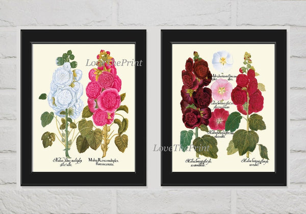 Hollyhock Flower Botanical Prints Wall Art Set of 2 Beautiful Antique Vintage White Pink Burgundy Illustration Home Room Decor to Frame BESL