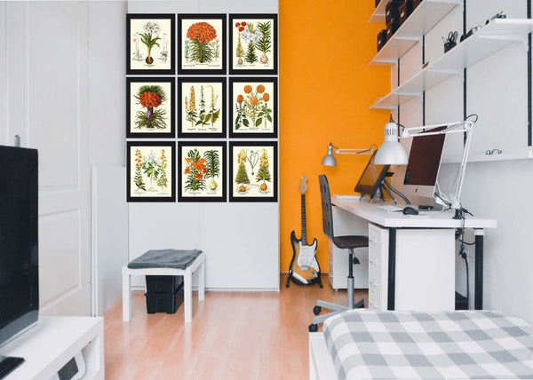 Lily Lilies Wall Art Botanical Print Set of 9 Beautiful Flowers Interior Decor Design Designer Gallery Artwork Home Room Decor to Frame BESL