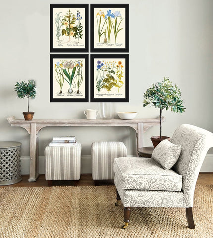 Cornflower Hibiscus Iris Botanical Wall Art Set of 4 Prints Beautiful Vintage Country Nature Garden Wildflowers Home Decor to Frame BESL