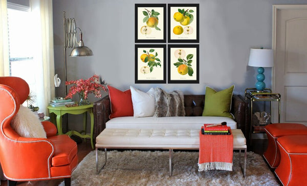 Apple Wall Decor Art Prints Set of 4 Beautiful Antique Vintage Yellow Apple Tree Chart Kitchen Dining Room Picture Home Decor to Frame GR