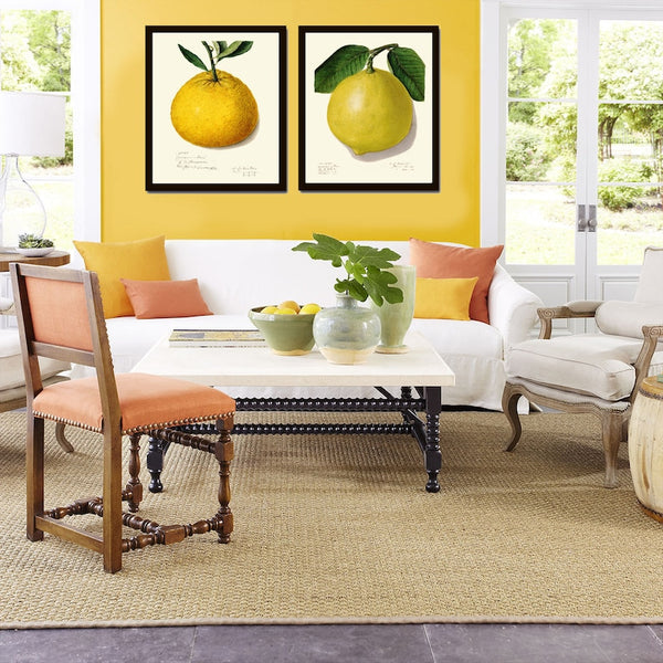 Orange Lemon Citrus Print Botanical Wall Art Set of 2 Beautiful Vintage Antique Tropical Fruit Dining Room Kitchen Home Decor to Frame POMO
