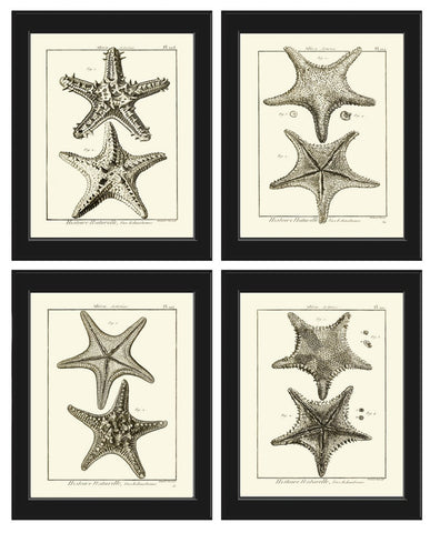 Sea Star Starfish Wall Art Decor Print Set of 4 Bathroom Bedroom Ocean Sea Beach House Tropical Shells Decoration Home Decor to Frame HNDV