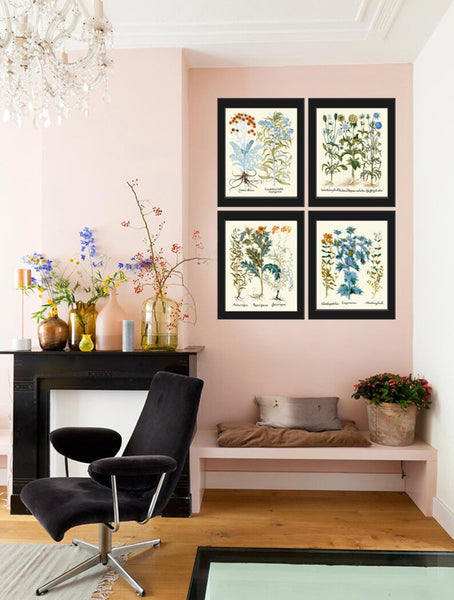 Wildflowers Botanical Wall Art Set of 4 Prints Cudweeds Holly Sunrose Thistle Goose Tongue Country Field Nature Home Decor to Frame BESL