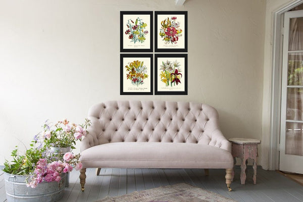 Daylily Day Lily Flower Plants Botanical Wall Art Set of 4 Prints Beautiful Antique Vintage Floral Interior Design Home Decor to Frame LEB