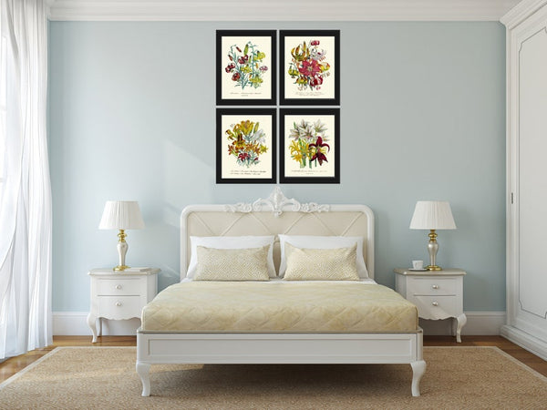 Daylily Day Lily Flower Plants Botanical Wall Art Set of 4 Prints Beautiful Antique Vintage Floral Interior Design Home Decor to Frame LEB
