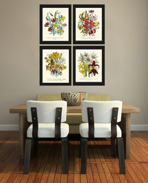 Daylily Day Lily Flower Plants Botanical Wall Art Set of 4 Prints Beautiful Antique Vintage Floral Interior Design Home Decor to Frame LEB