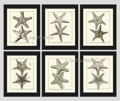 Sea Star Starfish Print set of 6 Wall Decor Art Vintage Sea Ocean Marine Modern Black and White Bathroom Office Home Decor to Frame HNDV