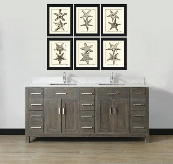 Sea Star Starfish Print set of 6 Wall Decor Art Vintage Sea Ocean Marine Modern Black and White Bathroom Office Home Decor to Frame HNDV