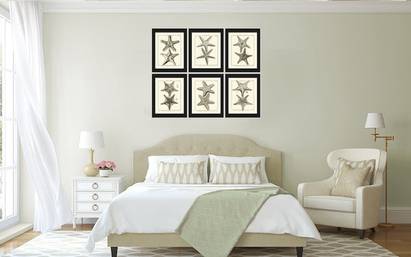 Sea Star Starfish Print set of 6 Wall Decor Art Vintage Sea Ocean Marine Modern Black and White Bathroom Office Home Decor to Frame HNDV