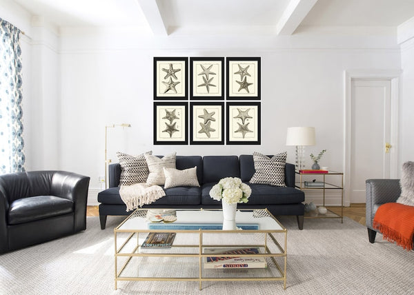 Sea Star Starfish Print set of 6 Wall Decor Art Vintage Sea Ocean Marine Modern Black and White Bathroom Office Home Decor to Frame HNDV
