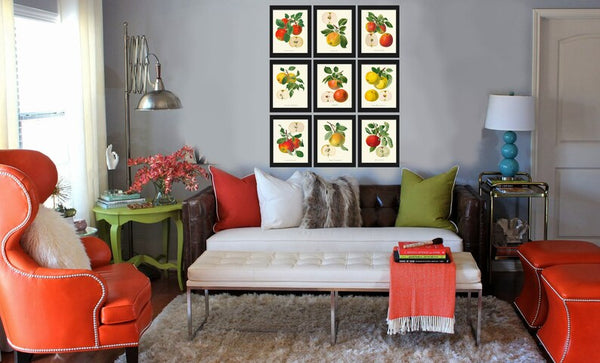 Apple Fruit Botanical Wall Art Set of 9 Prints Kitchen Dining Room Print Set Chart Poster Large Colorful Food Garden Home Decor to Frame GR