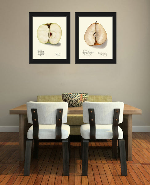 Fruit Botanical Print Wall Art Set of 2 Apple Pear Vintage Antique Dining Room Kitchen Decor Garden Decoration Home Decor to Frame POMO