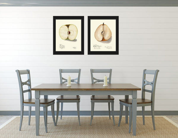 Fruit Botanical Print Wall Art Set of 2 Apple Pear Vintage Antique Dining Room Kitchen Decor Garden Decoration Home Decor to Frame POMO