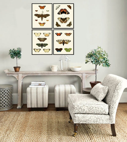 Vintage Butterfly Wall Art Print Set of 4 Antique Vintage Neutral Color Garden Nature Decoration Bedroom Office Home Decor Chart to Frame CP