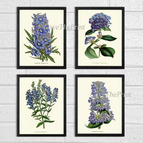 Blue Flowers Botanical Print Set of 4 Farmhouse Home Decor Cottage Shabby Chic Bedroom Living Dining Room Vintage Wall Art to Frame HOU