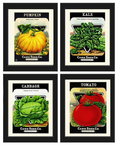 Vintage Vegetable Seed Packet Advertisement Botanical Wall Art Set 4 Beautiful Antique Kitchen Dining Room Tomato Home Decor to Frame VG