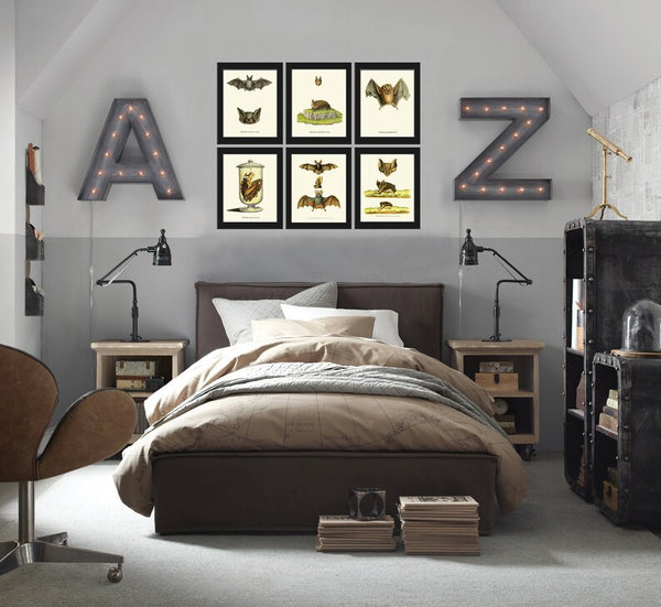 Bats Animal Wall Art Print Set of 6 Beautiful Vintage Forest Nature Illustration Farm Cabin Wildlife Science Home Room Decor to Frame BATS